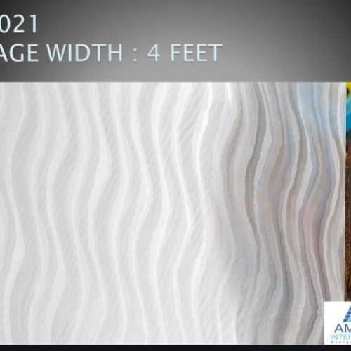 D021G-4ft